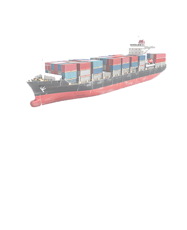 Trans81 Uluslararası Taşıma Denizyolu Taşımacılığı