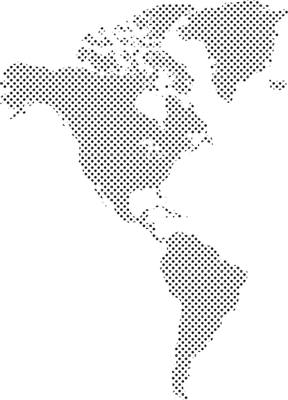 Trans81 Uluslararası Taşıma