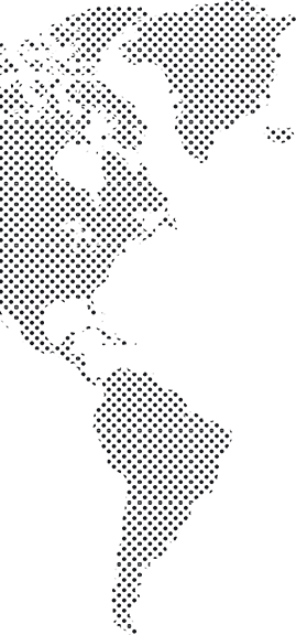 Trans81 Uluslararası Taşıma