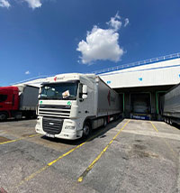 Trans81 Uluslararası Taşıma Gümrükleme Çözümlerimiz