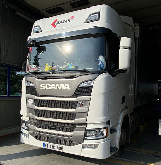 Trans81 Uluslararası Taşıma